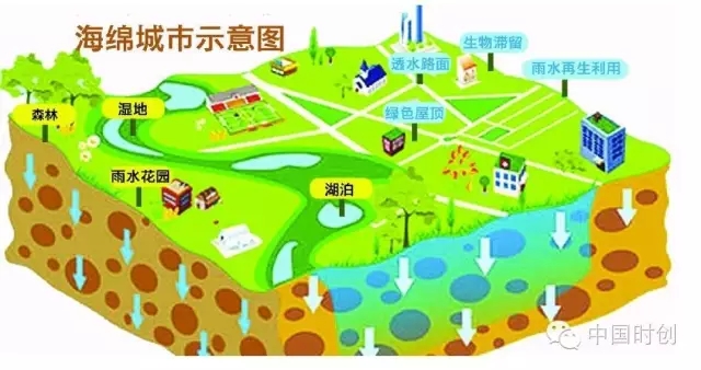 透水磚機(jī)廠家必看：“海綿城市”市場機(jī)會分布在哪兒 ？