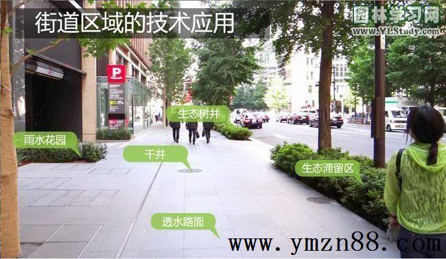 透水磚應(yīng)用在街道區(qū)域 透水磚應(yīng)用在街道區(qū)域