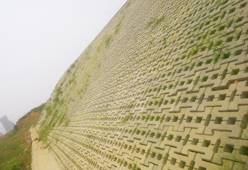 河道護(hù)坡磚機(jī)