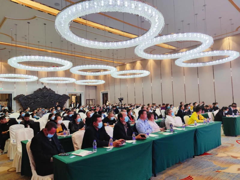 西安銀馬公司總經(jīng)理胡漪參會