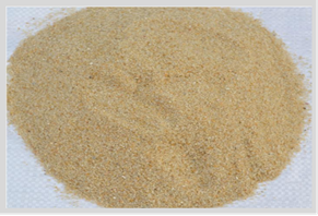 圖片7_副本 圖片7_副本