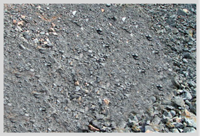 圖片9_副本 圖片9_副本